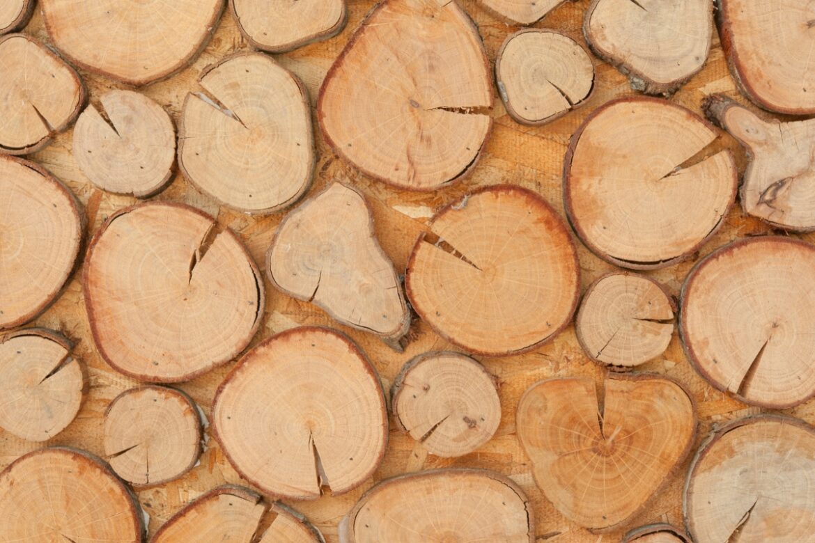 Co zrobić z plastrów drewna? 5 propozycji