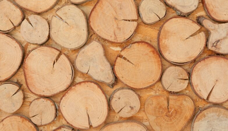 Co zrobić z plastrów drewna?