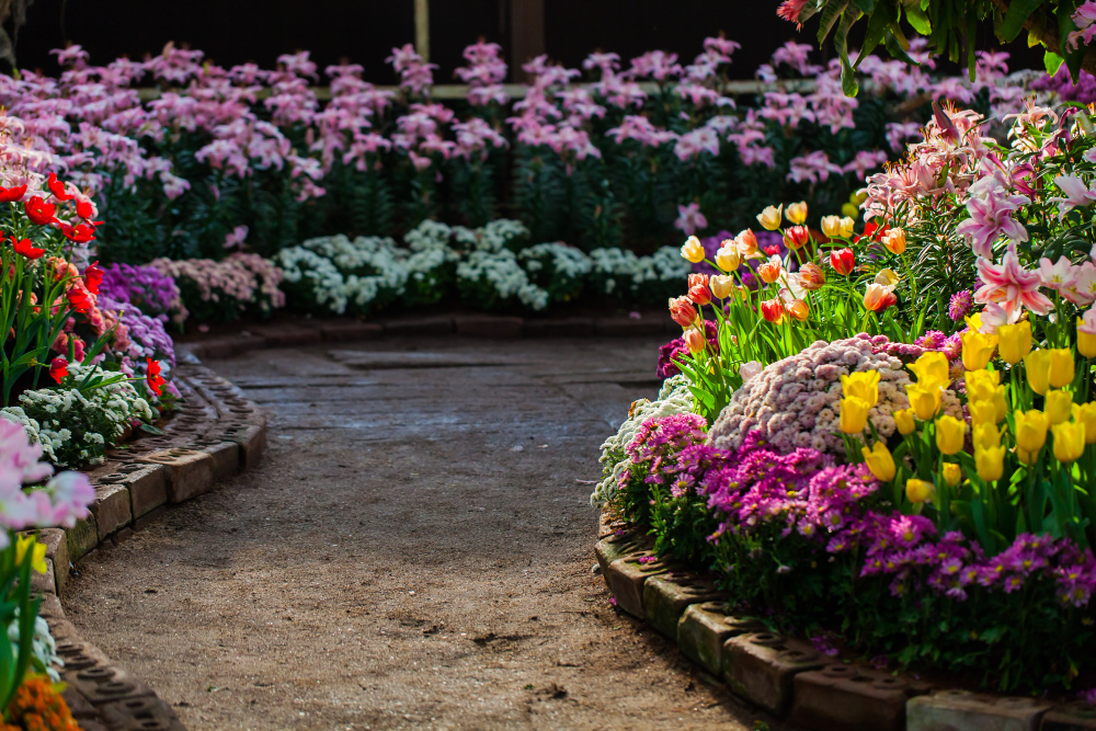 ogród włoski kwiaty